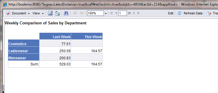 Example of Web Intelligence Report