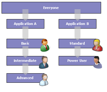 Example of a Type IV Security Model where each application defines their own functional groups